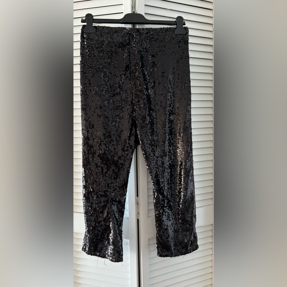 Zara harem sequin pants